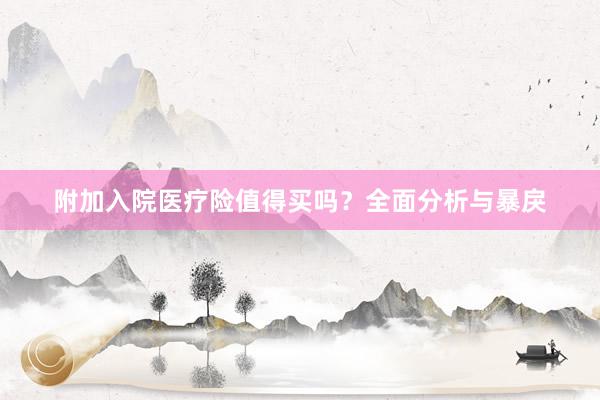 附加入院医疗险值得买吗？全面分析与暴戾